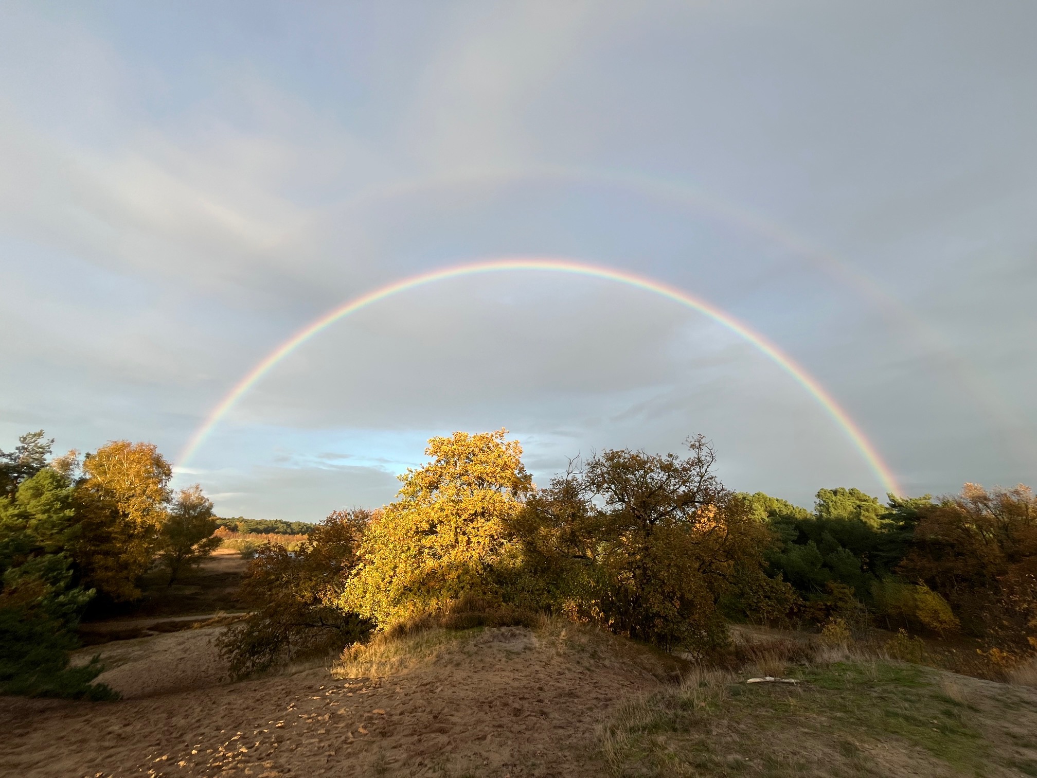 Zen.nl, Zen, meditatie, leren mediteren, foto
